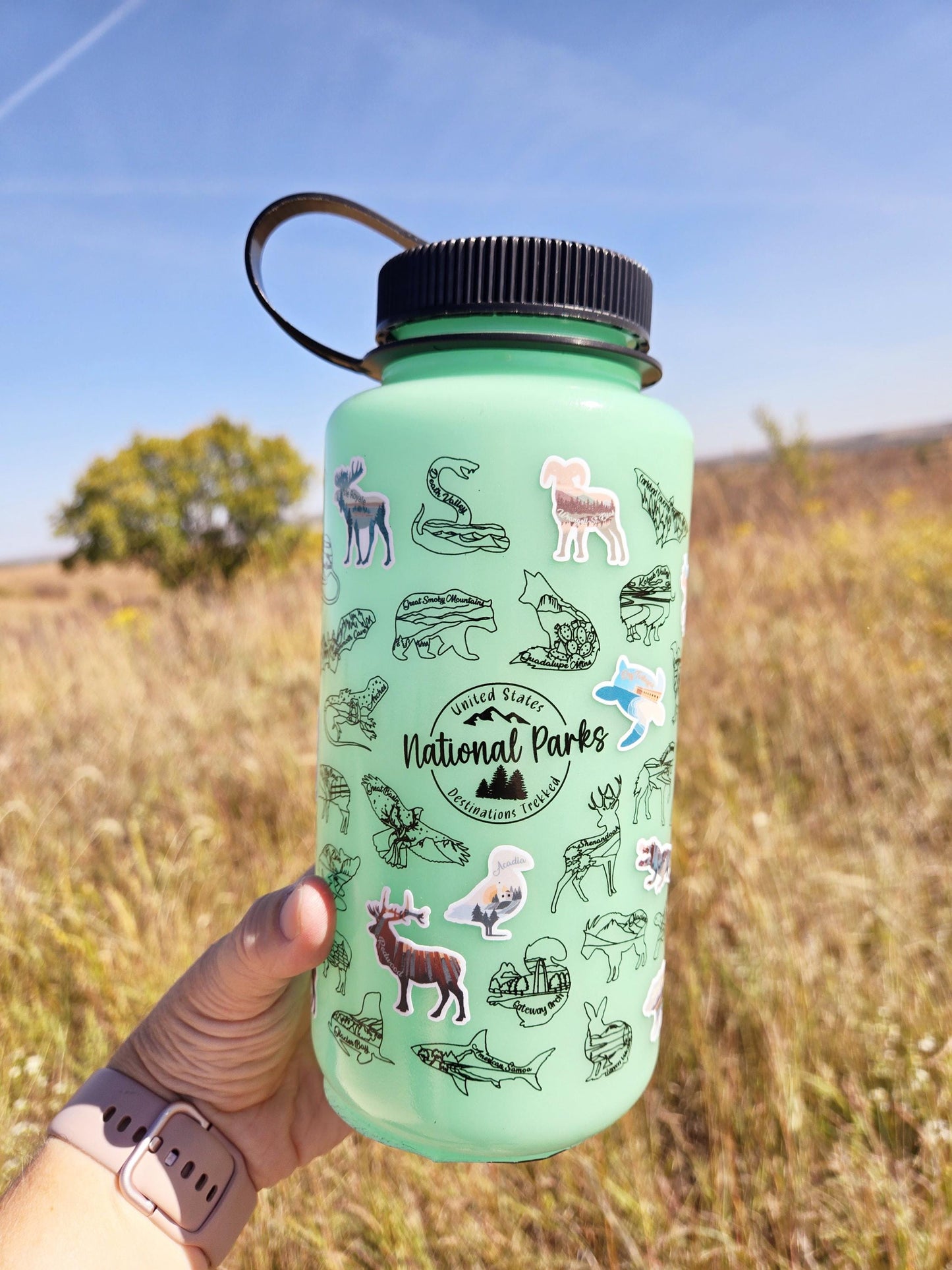 National Park water bottle with stickers, Glow in the Dark bottle, National Park bucket list, Nalgene 32 oz, hiking, Water bottle tracker