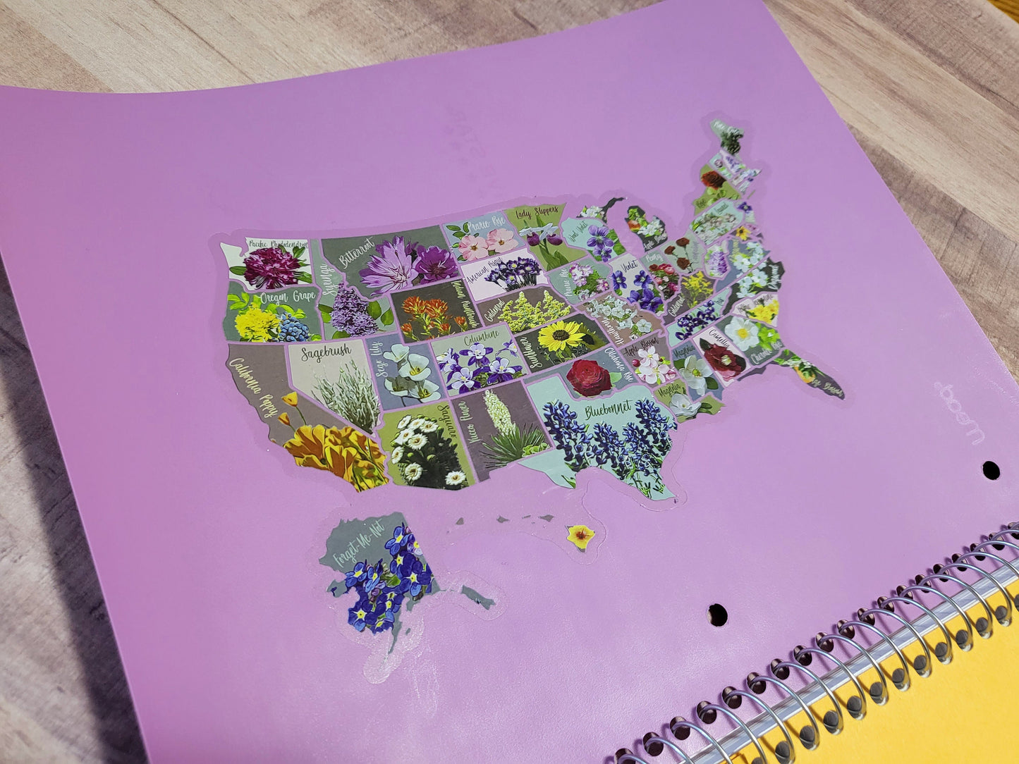 Transparent Scratch Off Sticker Map; USA Vinyl Decal; State Flower Map, Decal Map; Planner Sticker