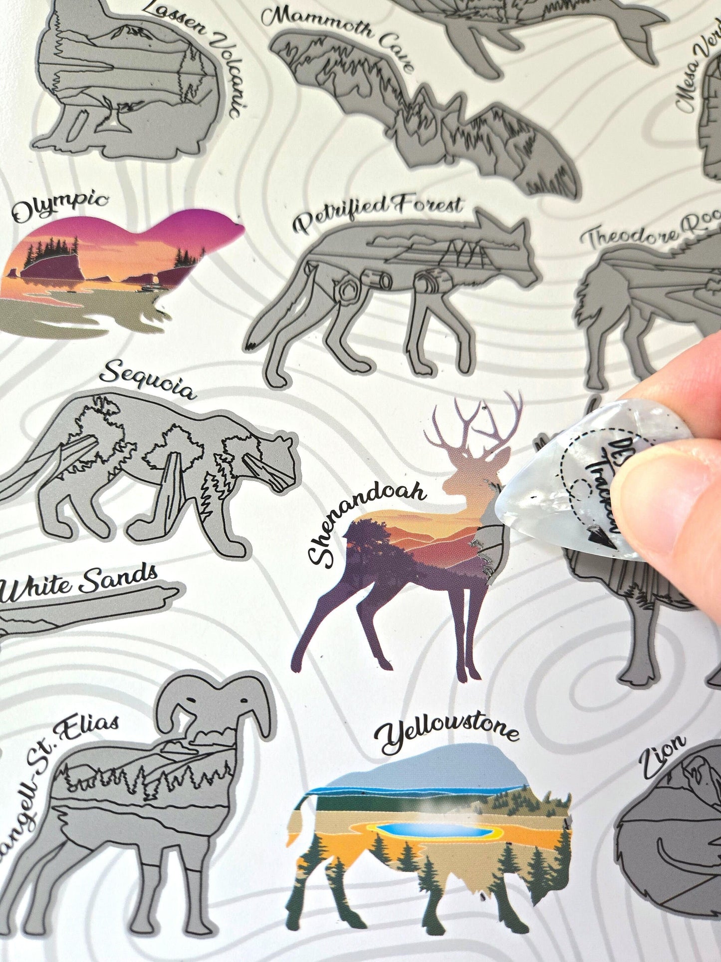 US National Park Scratch Off poster, Wildlife Silhouette National Parks, 12x18