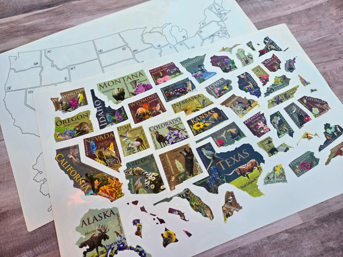 US Sticker Travel Map for RV, 50 States Places Traveled, Camper Decor, Outdoor Weatherproof Vinyl Decal, 11x17