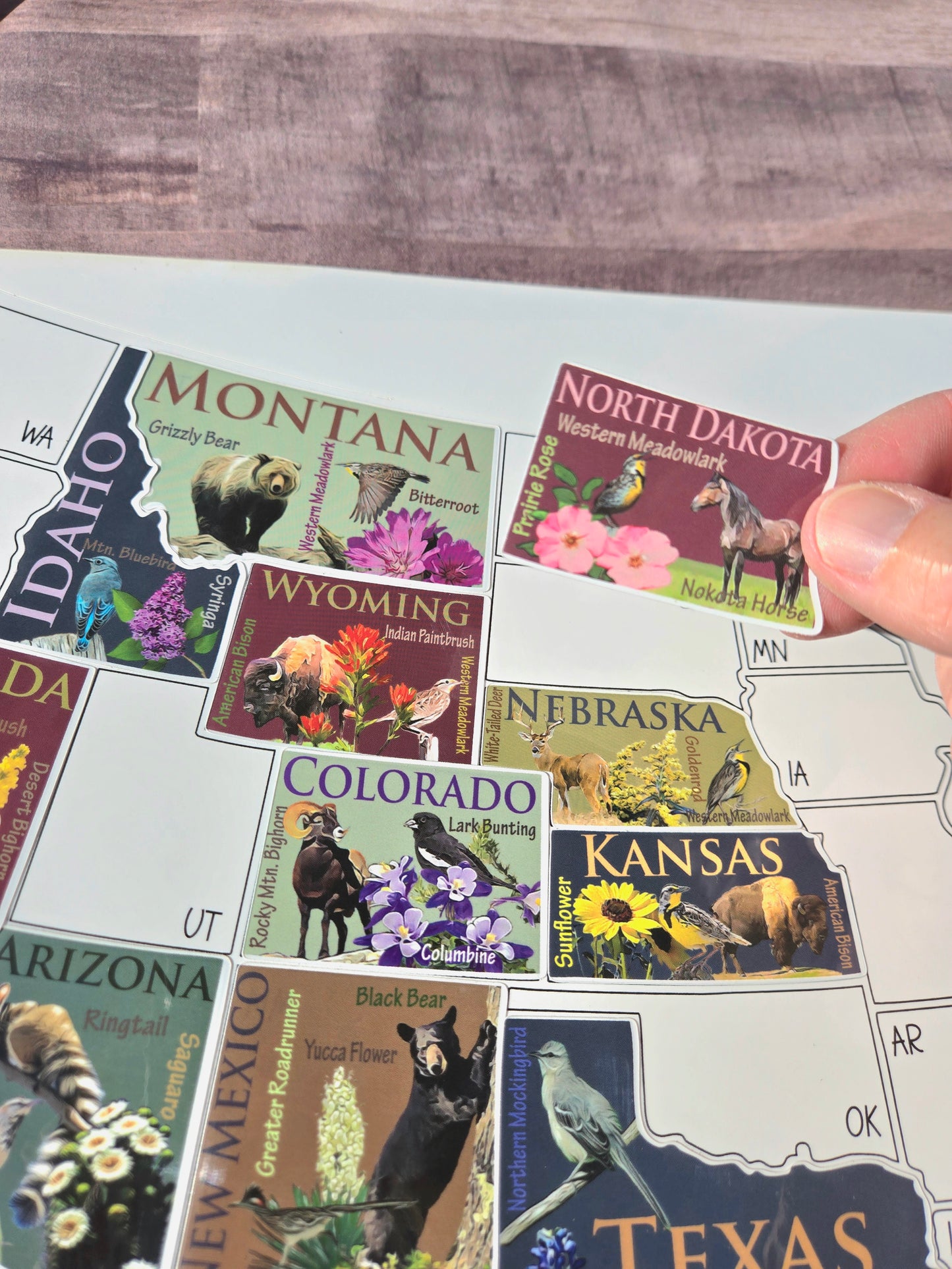 US Sticker Travel Map for RV, 50 States Places Traveled, Camper Decor, Outdoor Weatherproof Vinyl Decal, 11x17