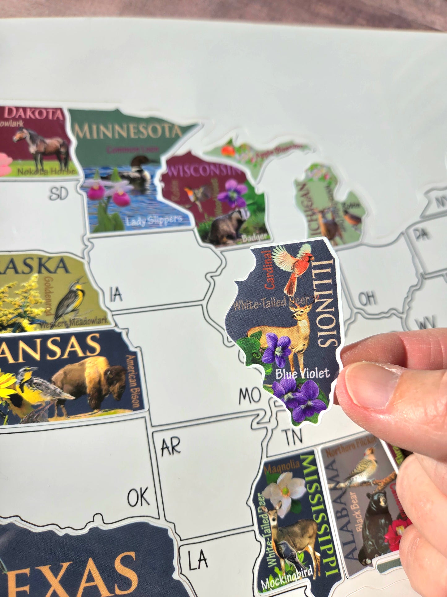 US Sticker Travel Map for RV, 50 States Places Traveled, Camper Decor, Outdoor Weatherproof Vinyl Decal, 11x17