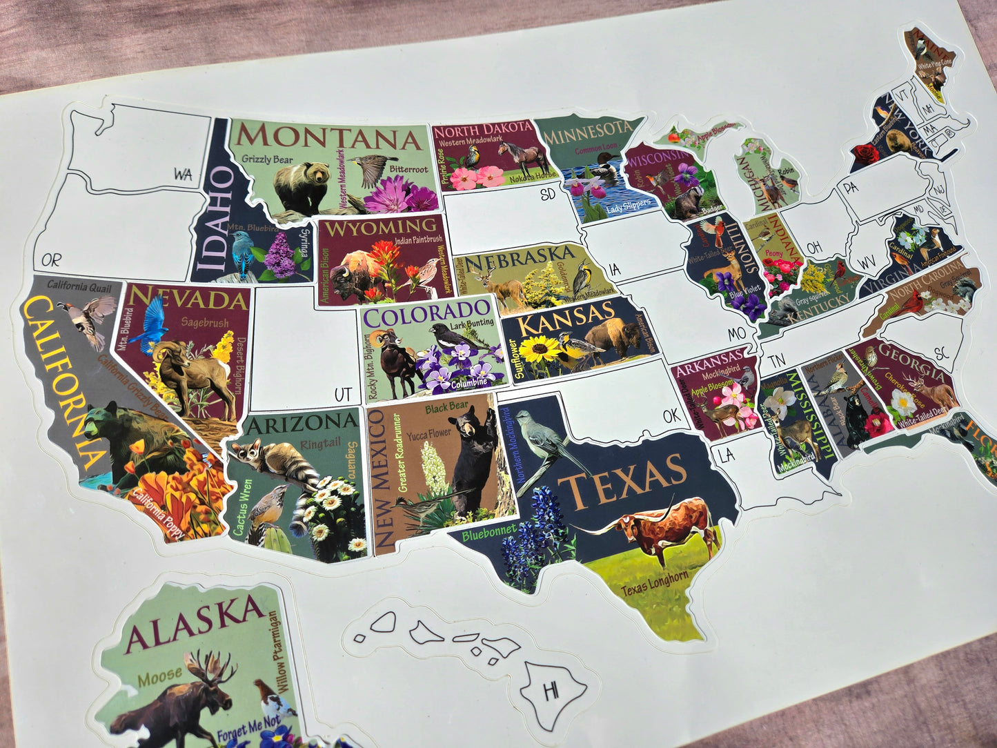 US Sticker Travel Map for RV, 50 States Places Traveled, Camper Decor, Outdoor Weatherproof Vinyl Decal, 11x17