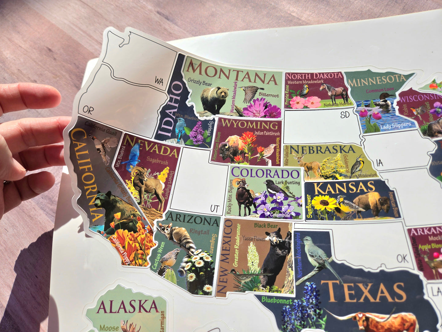 US Sticker Travel Map for RV, 50 States Places Traveled, Camper Decor, Outdoor Weatherproof Vinyl Decal, 11x17