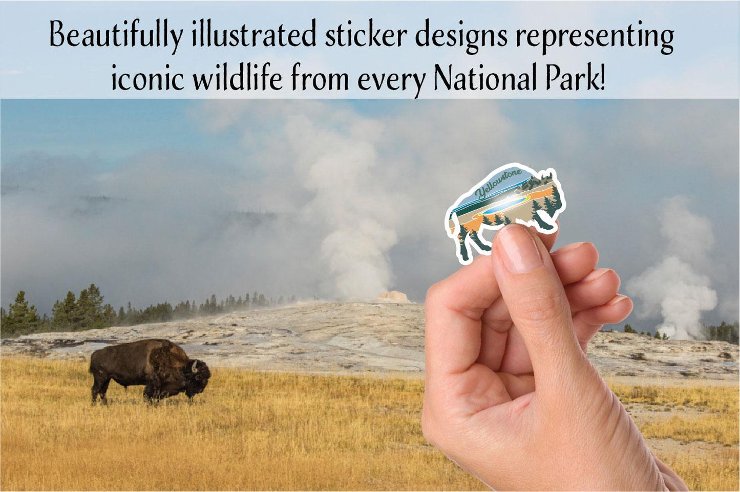 National Park Bucket List with stickers, National Park water bottle, Clear Nalgene 32 oz, Water bottle tracker, Places Traveled, hiking gift