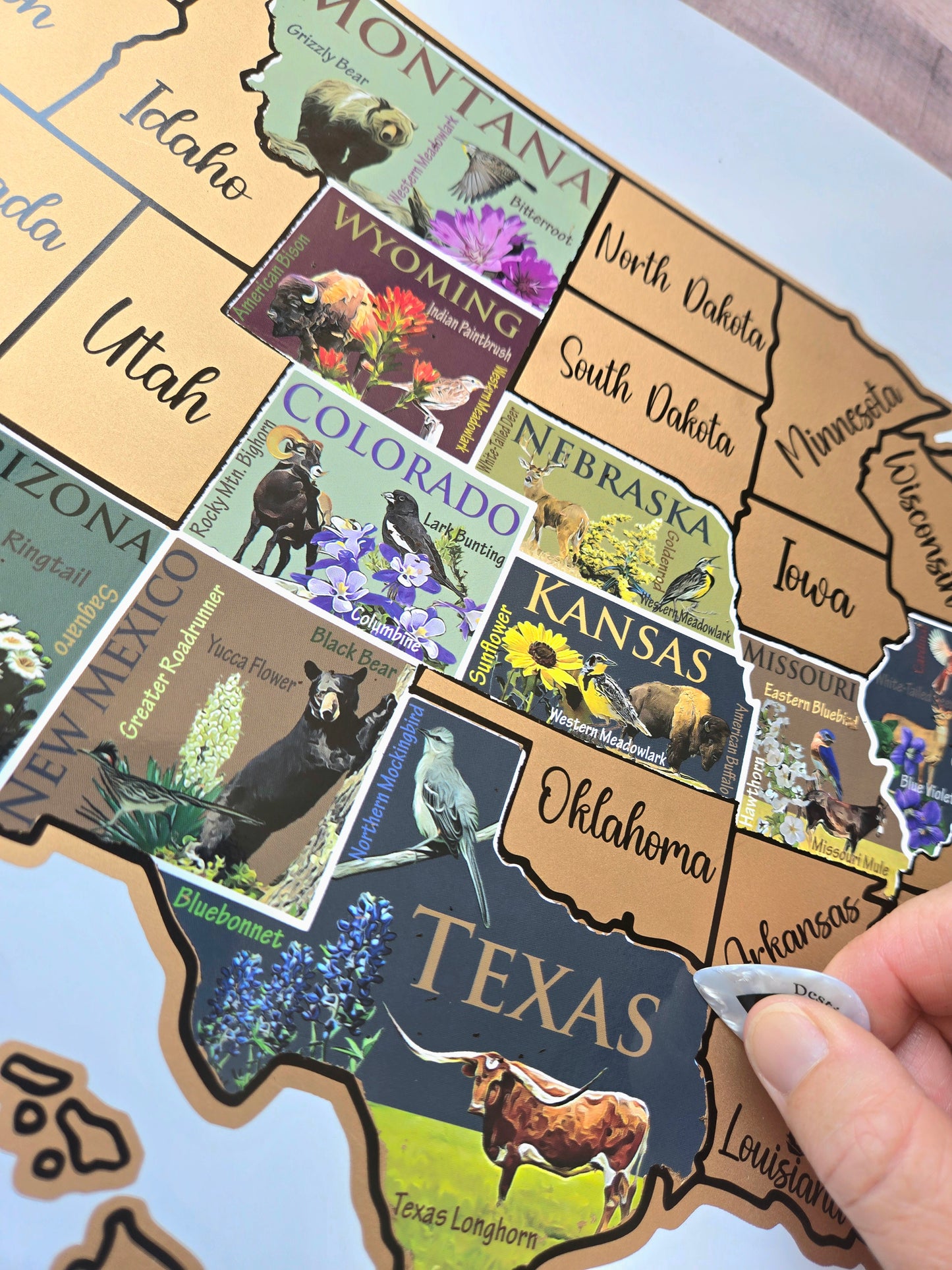 USA Scratch Off Map; State Symbols map; United States Poster