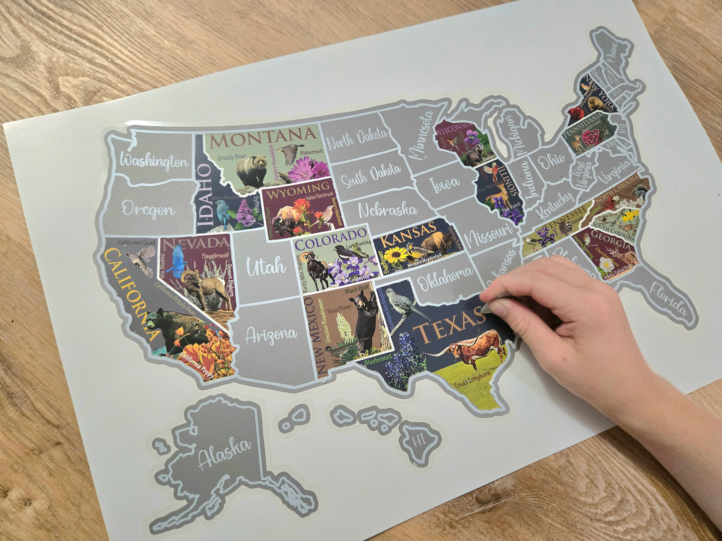 USA Scratch Off Map; State Symbols map; United States Poster