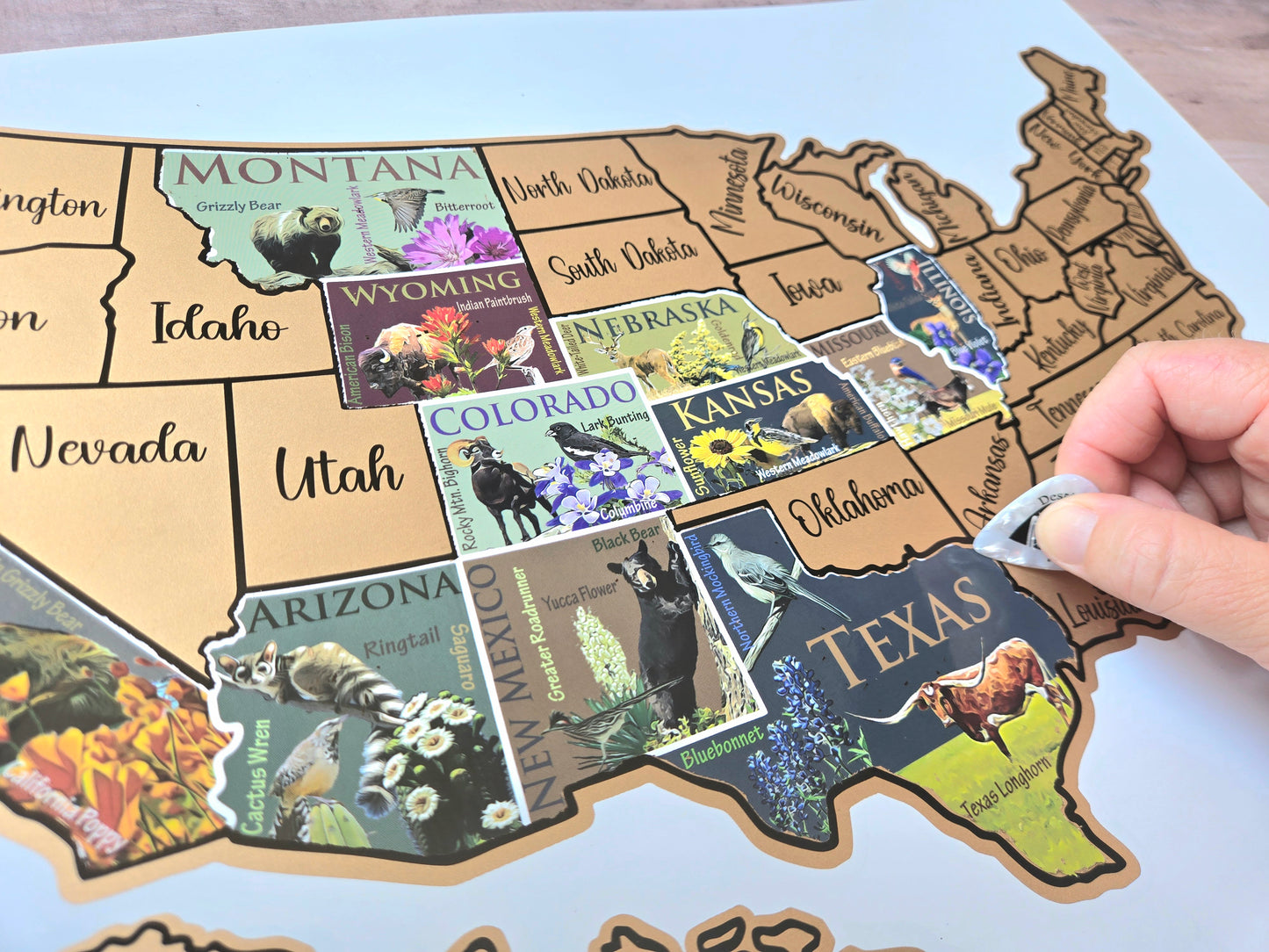 USA Scratch Off Map; State Symbols map; United States Poster